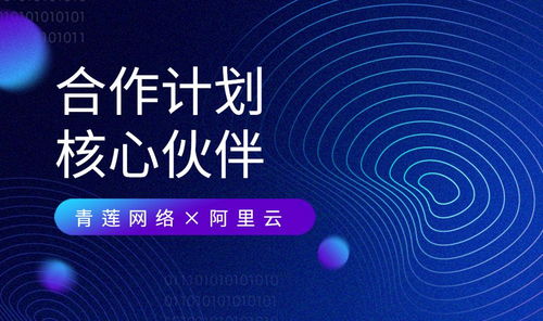 青蓮網(wǎng)絡(luò) 攜手阿里云，共建云原生及MSP合作新生態(tài)