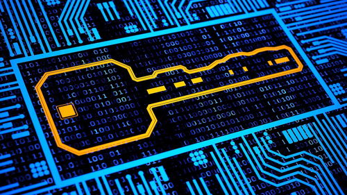 向敏 鏡花水月的場(chǎng)景如何催眠區(qū)塊鏈價(jià)值創(chuàng)造的核心與未來(lái)企業(yè)網(wǎng)絡(luò)技術(shù)服務(wù)